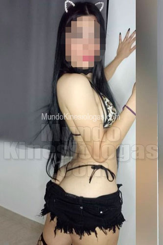 kne lince 955360838